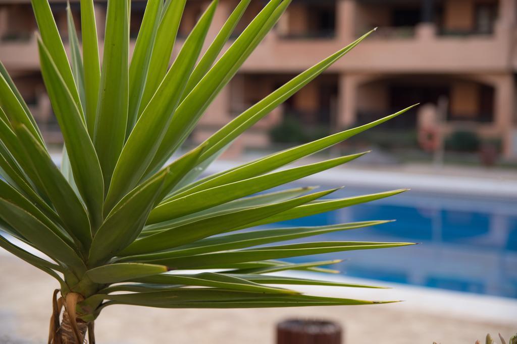 Apartamentos Turisticos Spiritmar Almerimar Esterno foto